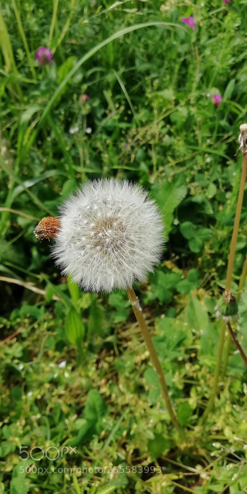 HUAWEI Mate 10 Lite sample photo. Untitled photography