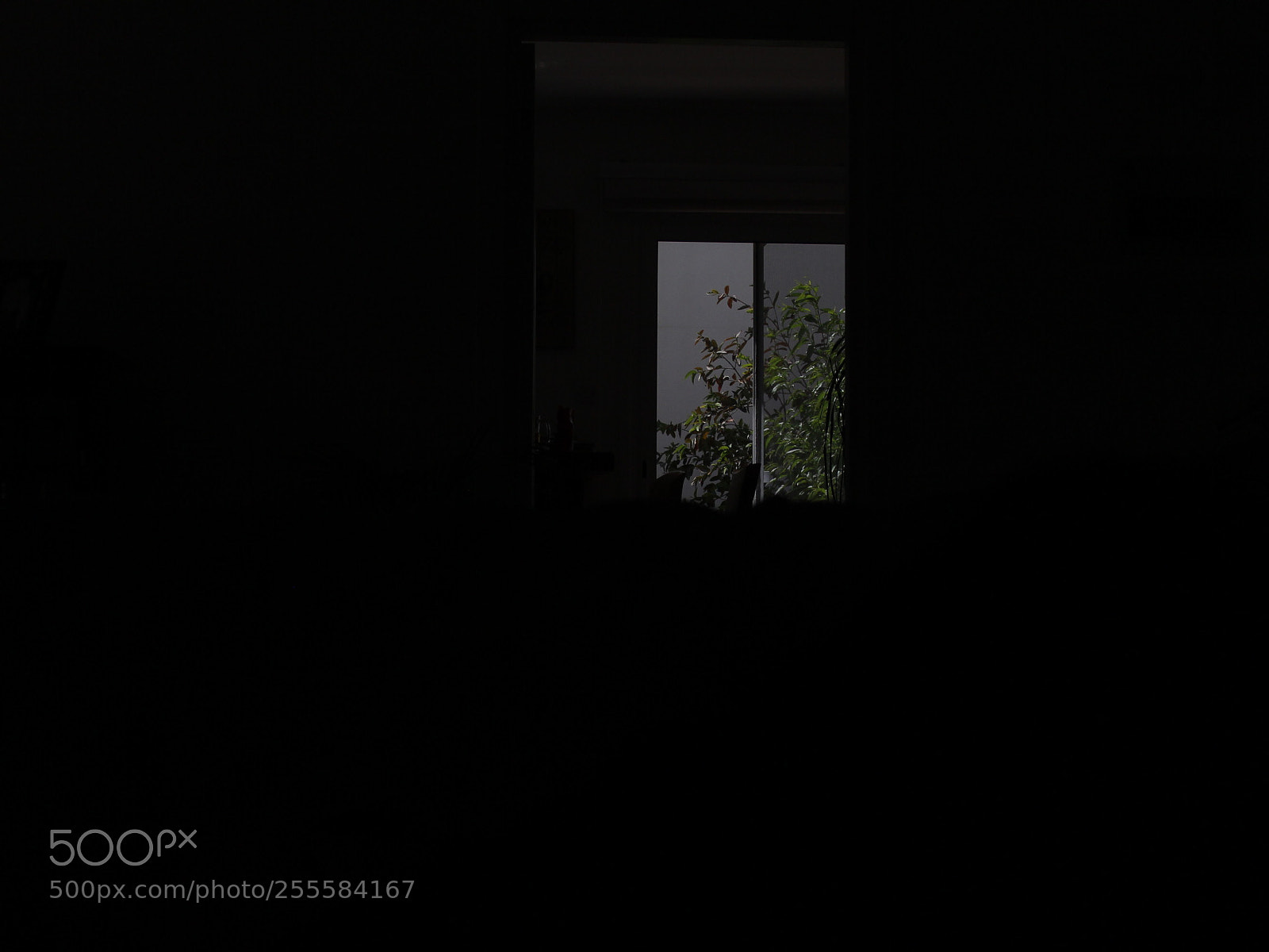 Canon EF-S 18-55mm F3.5-5.6 III sample photo. Window photography