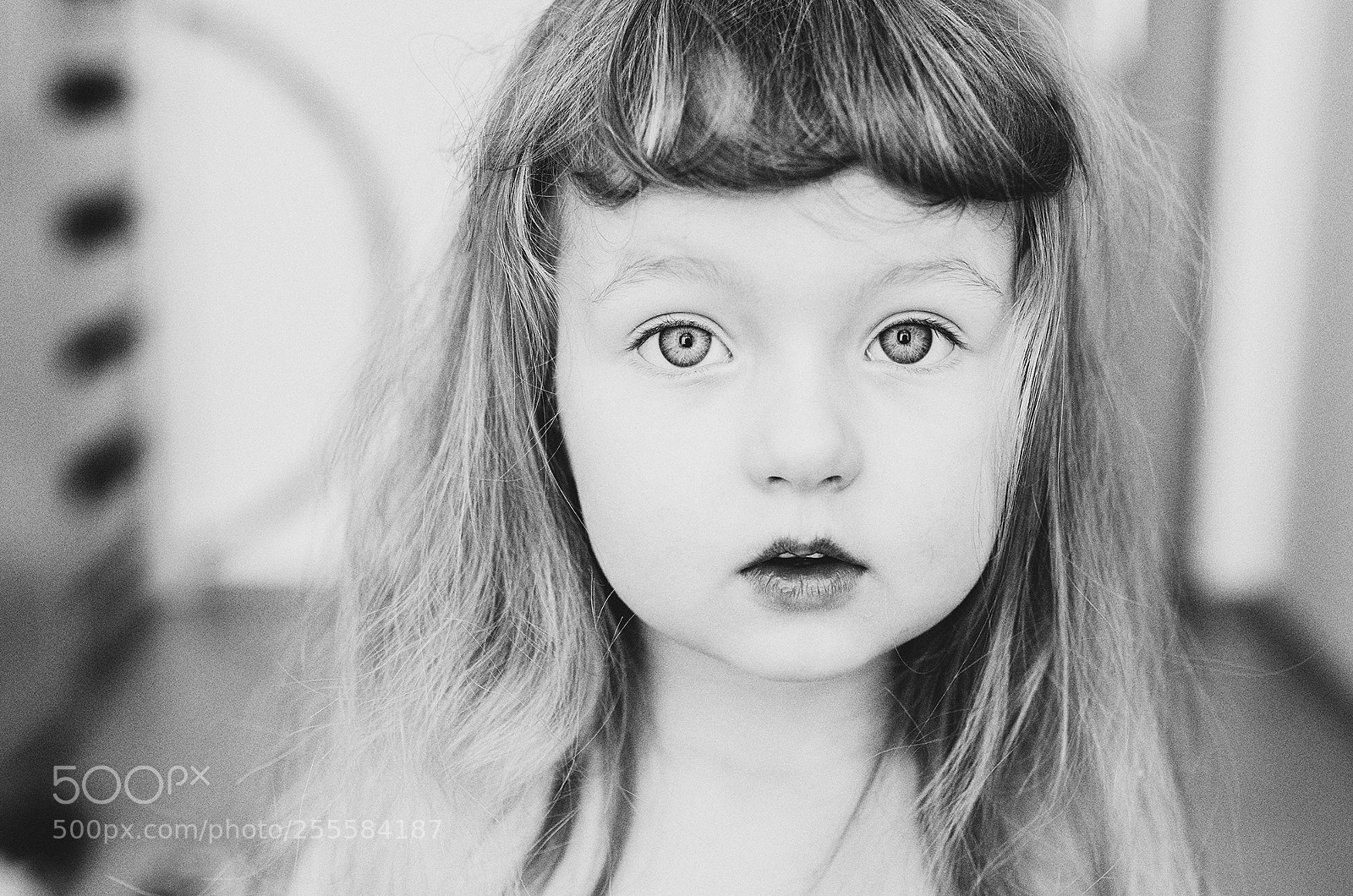 Nikon D7000 sample photo. Untitled photography