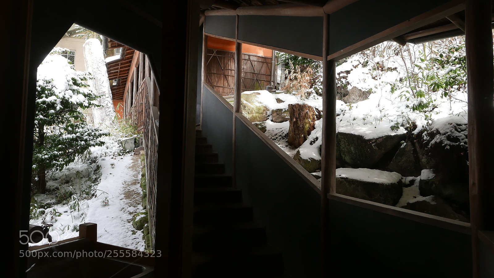 Leica D-Lux (Typ 109) sample photo. 雪后。。。 photography