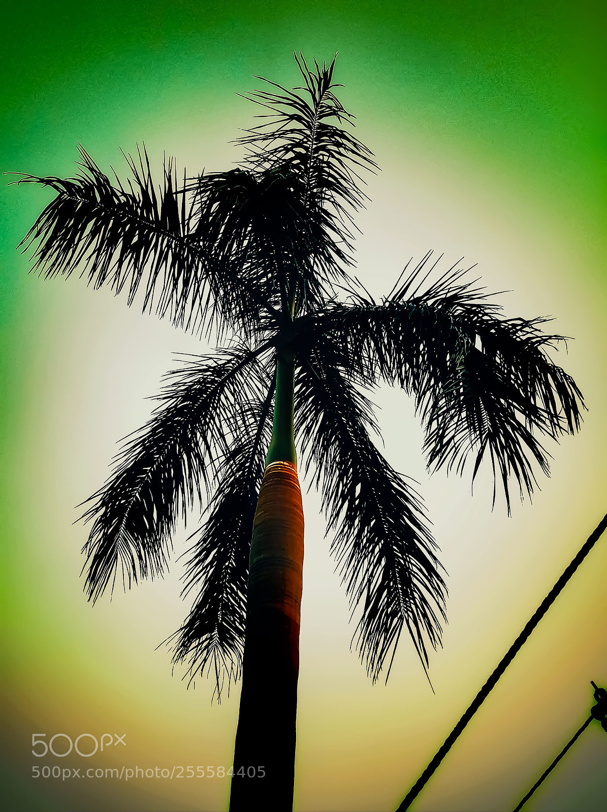 Samsung Galaxy S7 sample photo. Untitled photography