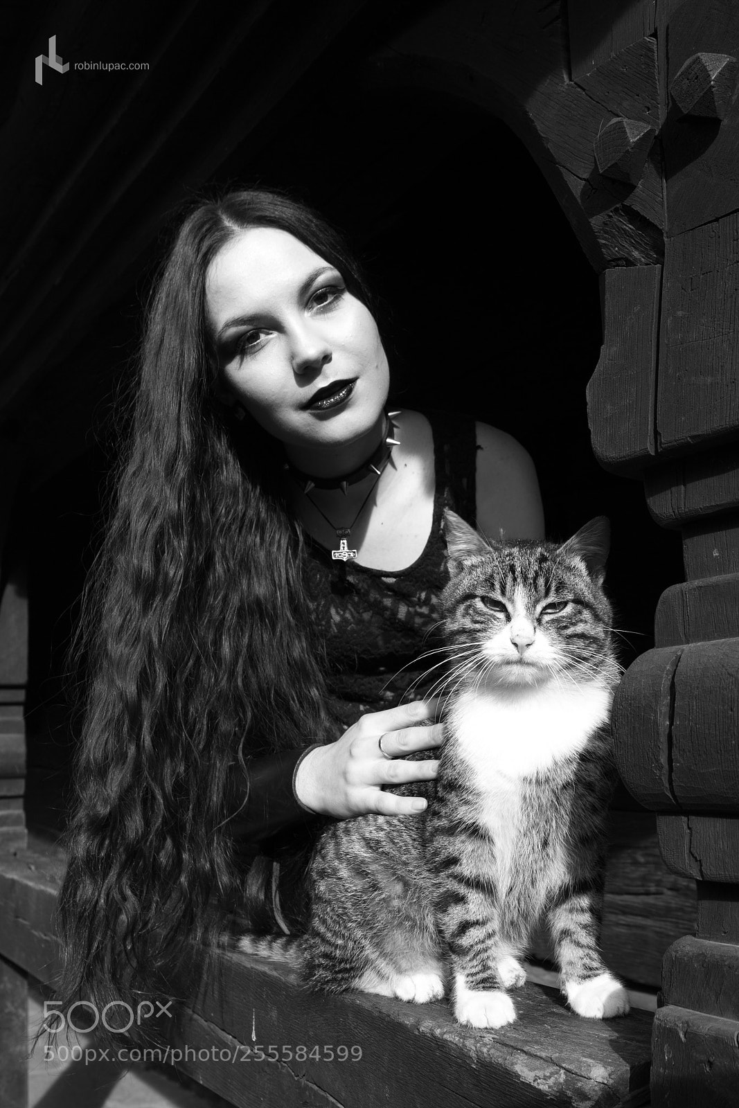Canon EOS 6D sample photo. Metal cats photography