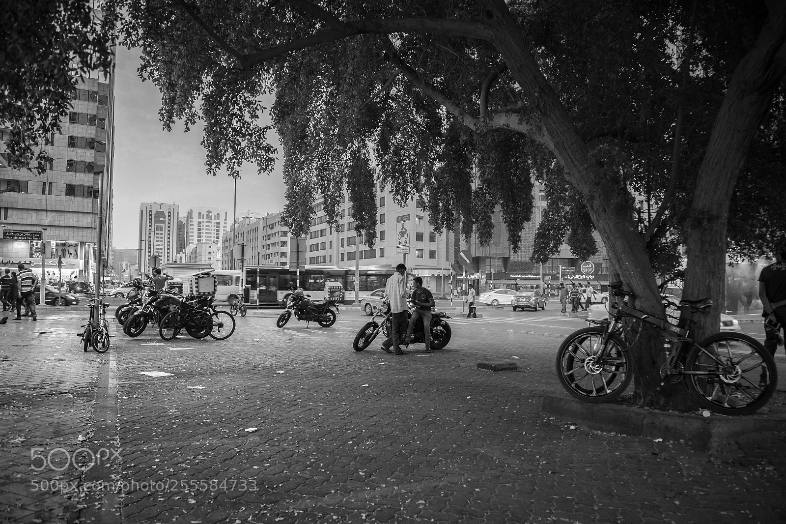 Canon EOS 6D sample photo. Abu dhabi street photography