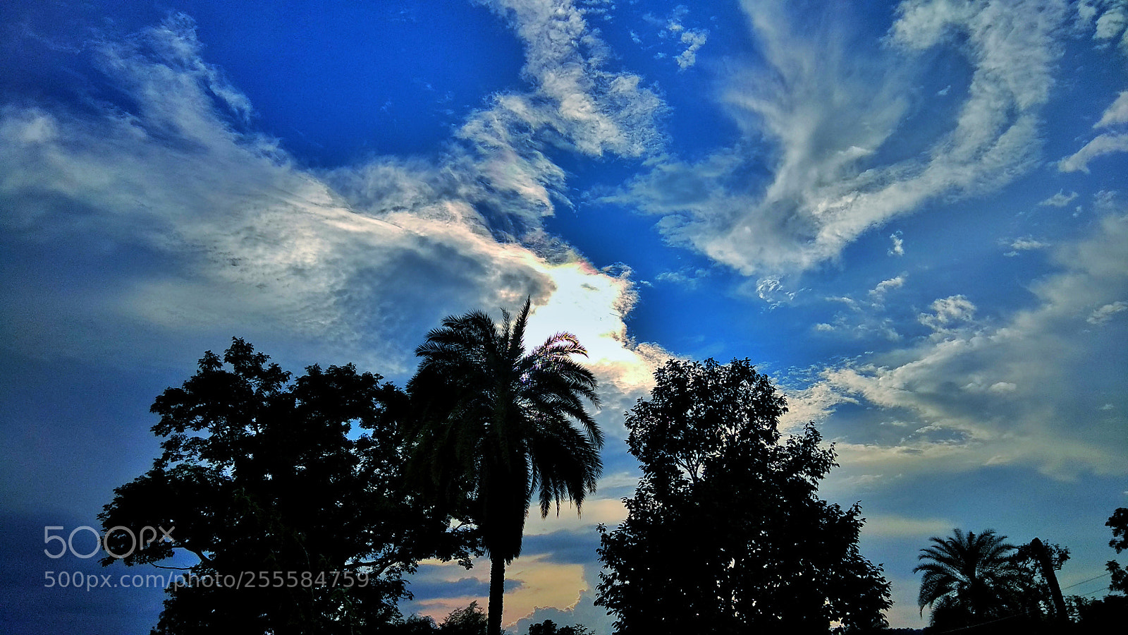 Xiaomi Redmi Note 4 sample photo. Sky is the limit photography
