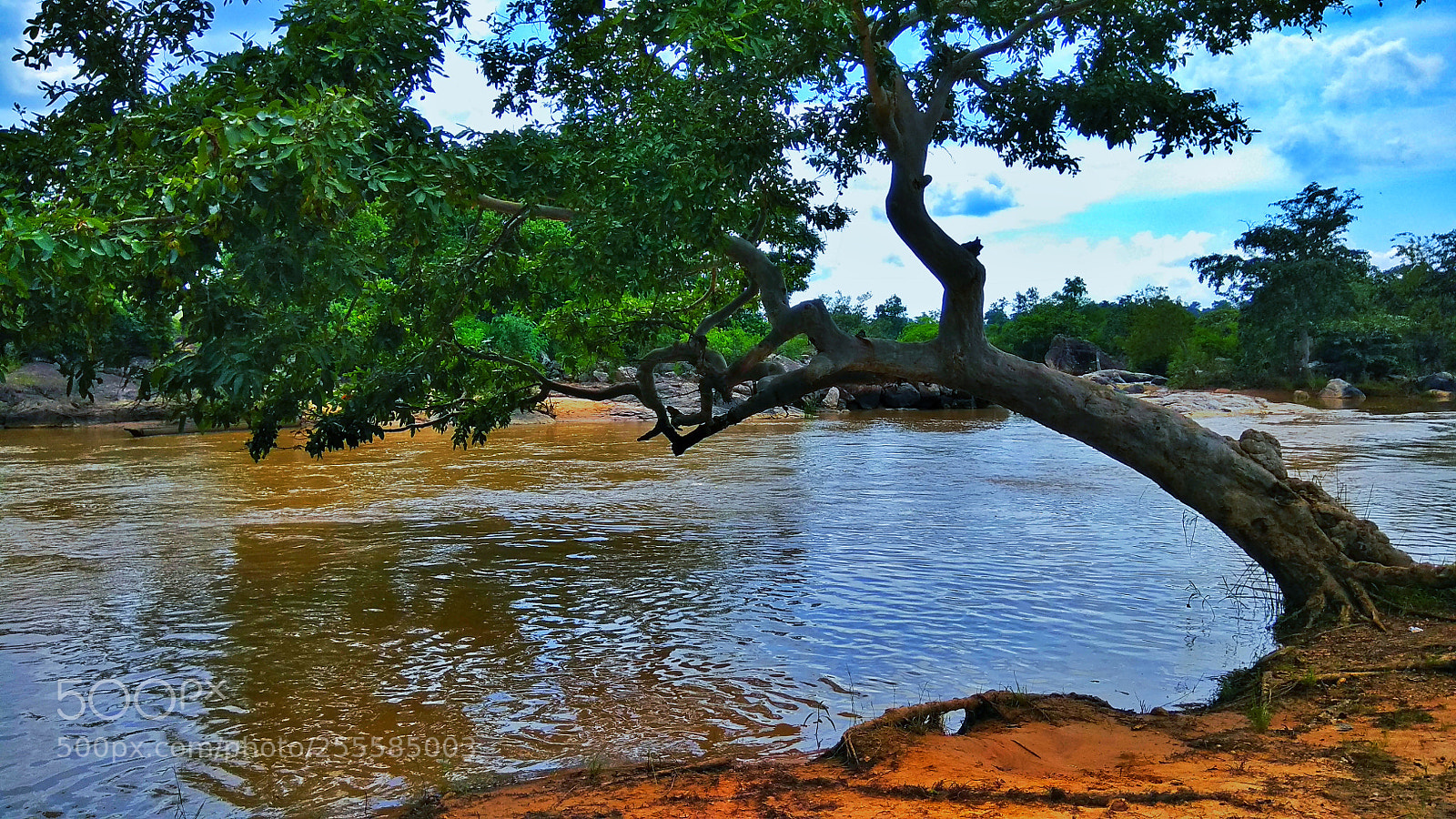 Xiaomi Redmi Note 4 sample photo. Go with the flow photography