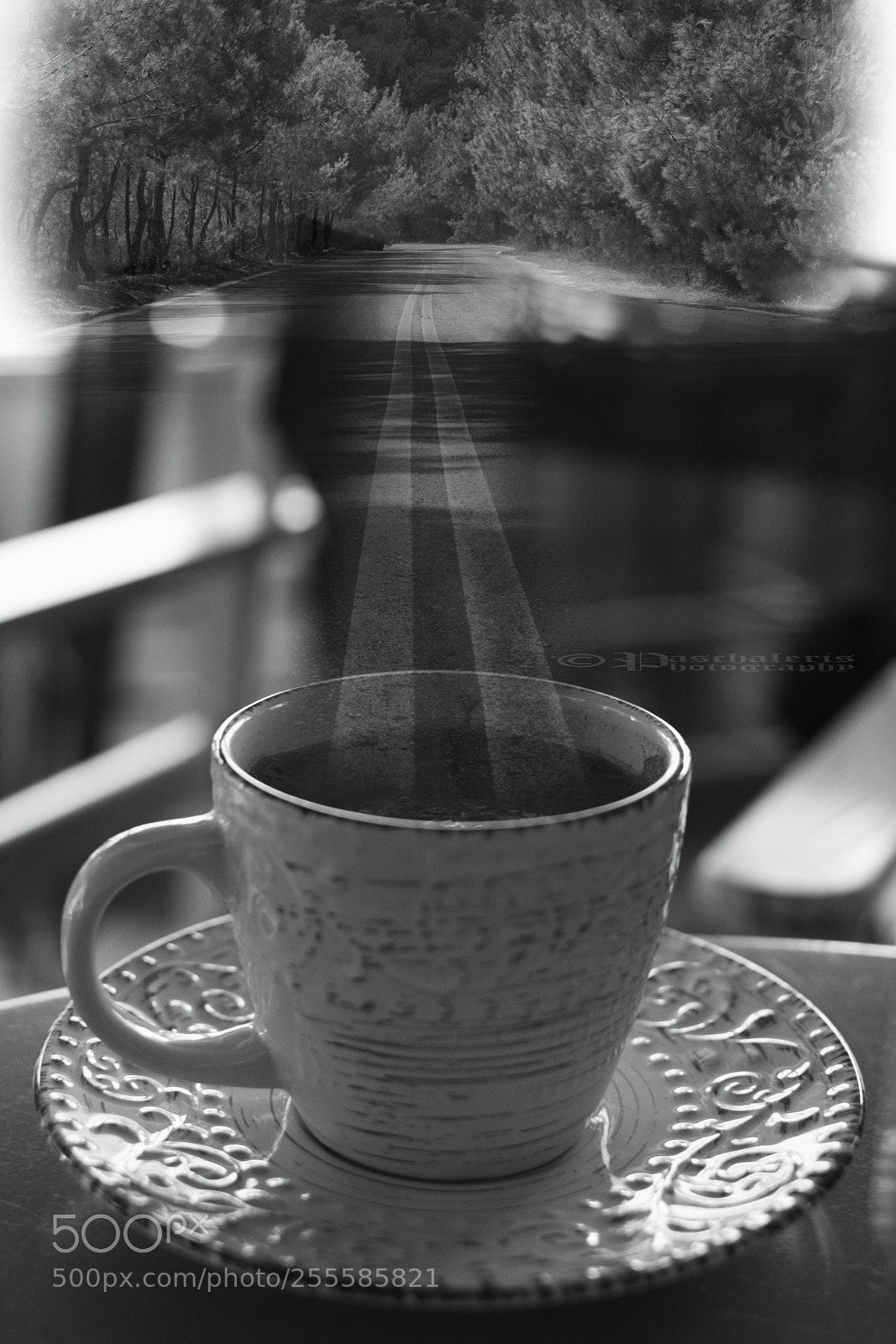 Nikon D3300 sample photo. Day dreaming photography