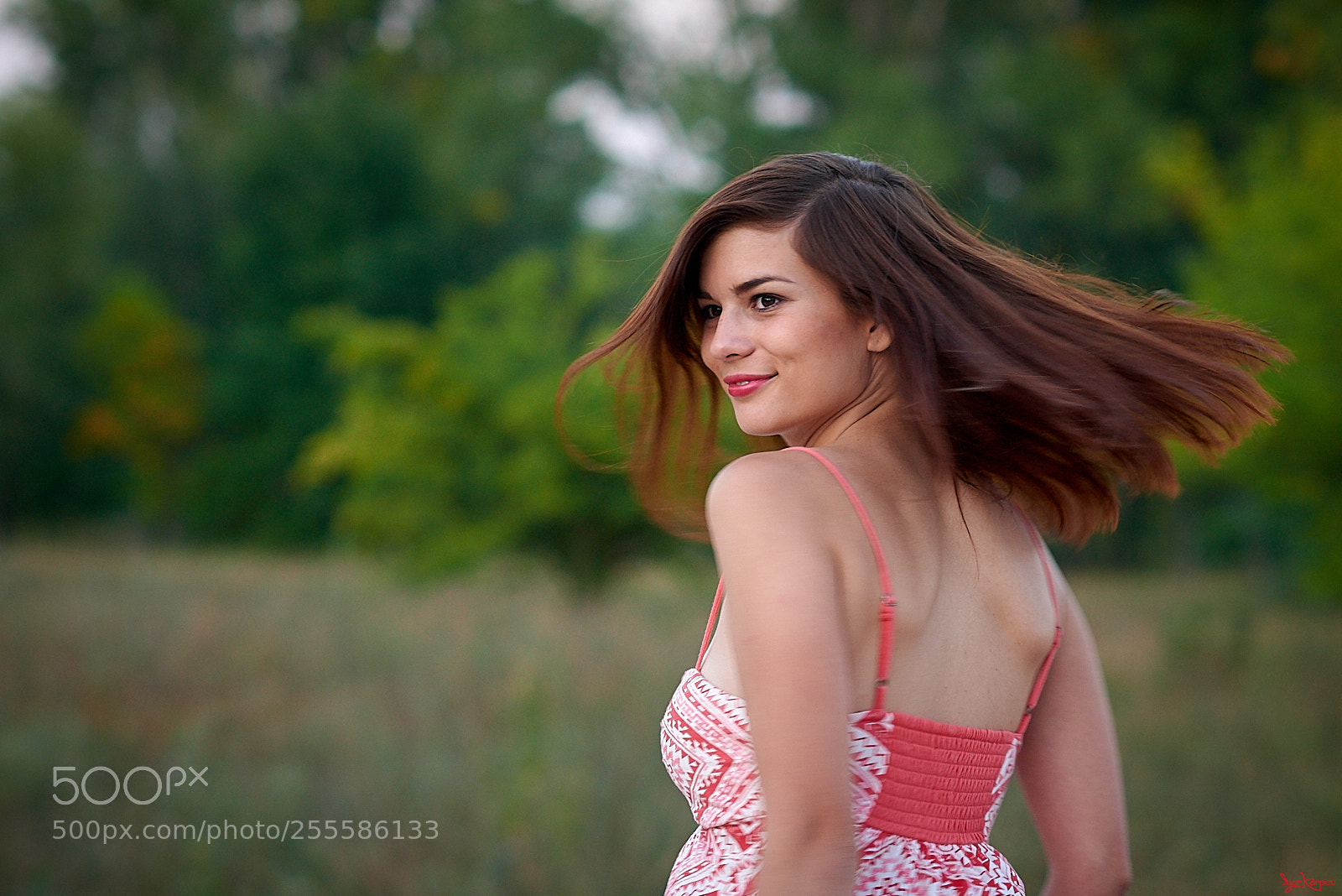 Nikon D800 sample photo. Summertime photography