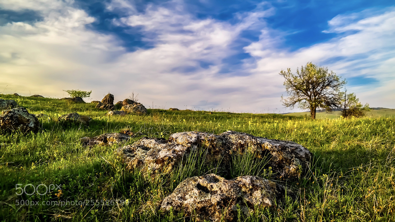 Samsung NX300 sample photo. Nature photography