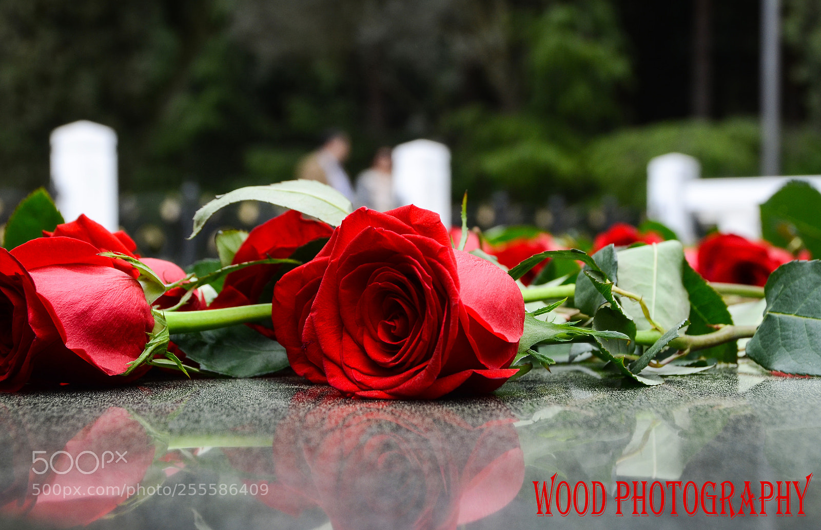 Nikon D7000 sample photo. Aze photography