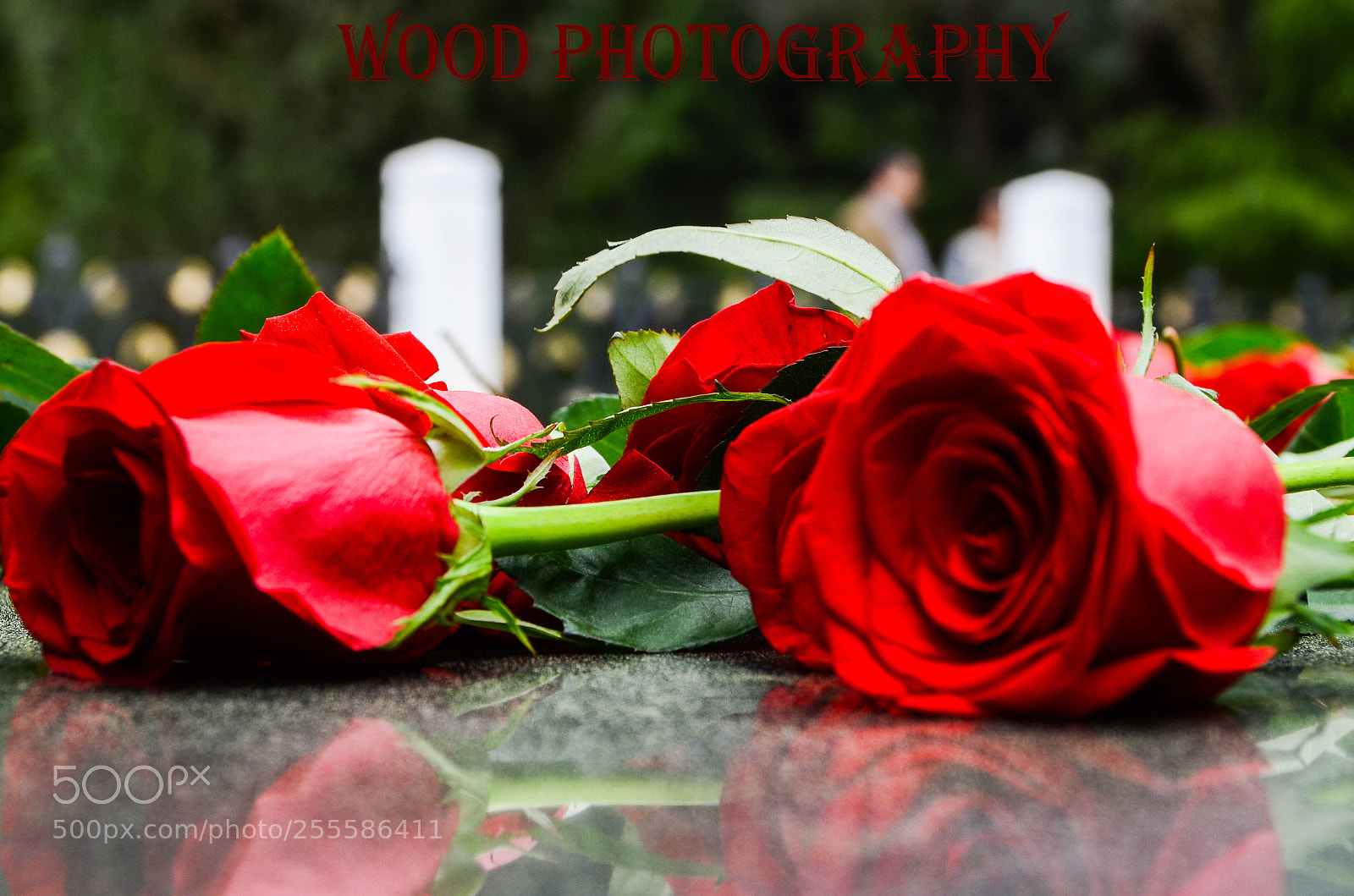 Nikon D7000 sample photo. Aze photography