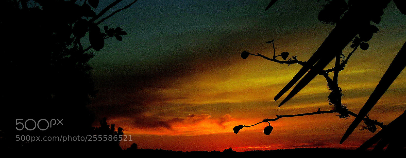 Canon PowerShot SX60 HS sample photo. Sunrise picture photography