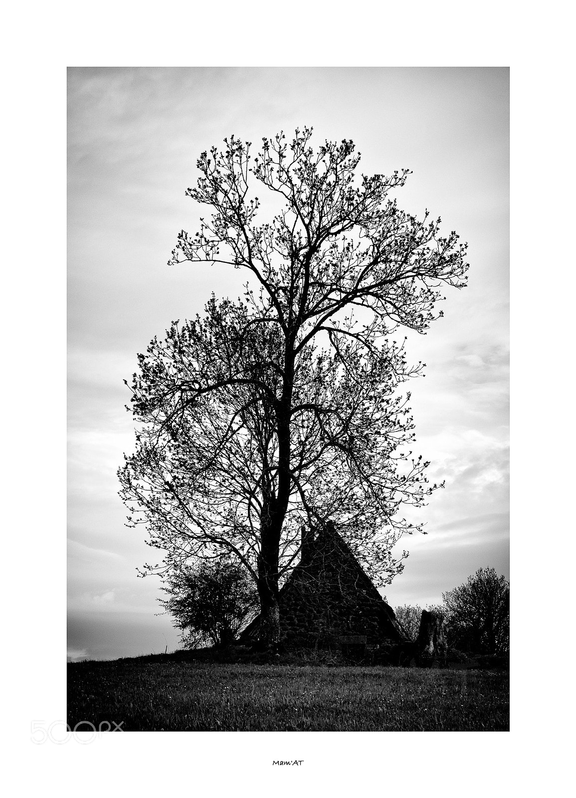 Fujifilm X-T1 sample photo. L'arbre et le buron photography