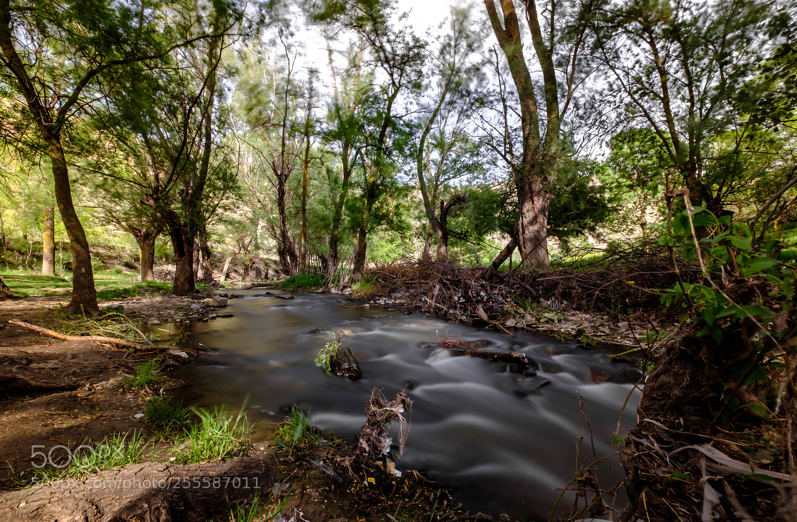Fujifilm X-T2 sample photo. A stream in the photography