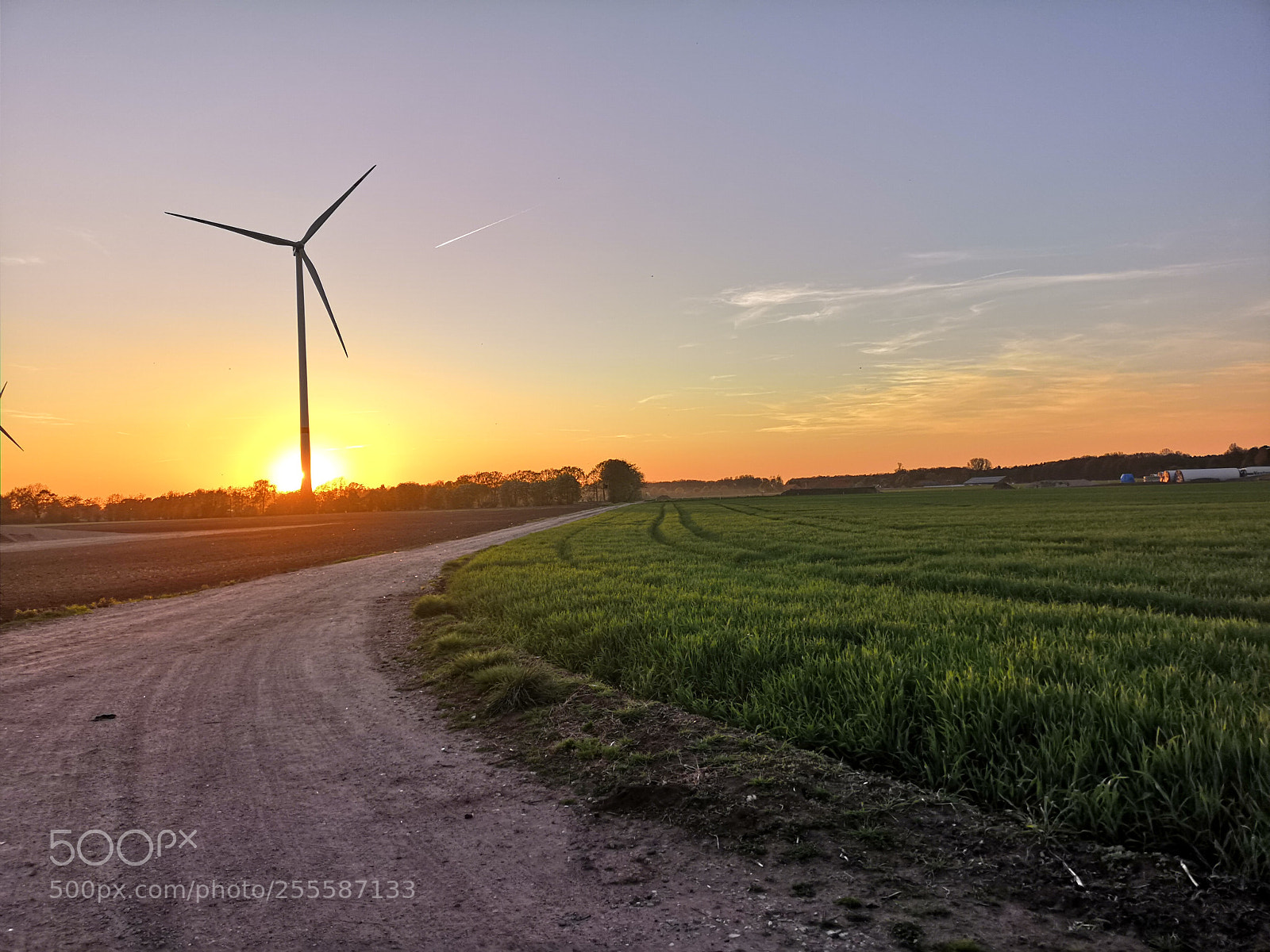 HUAWEI CLT-L29 sample photo. Sunset photography