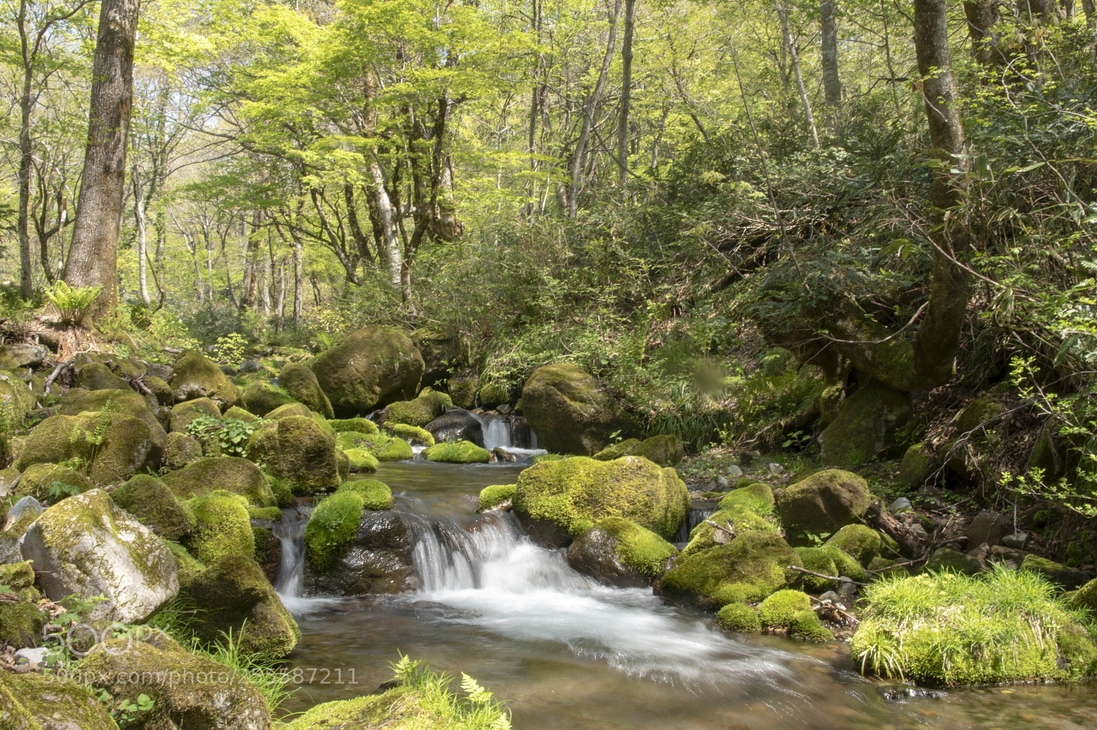 Sony ILCA-77M2 sample photo. Kitanisawa 1 photography