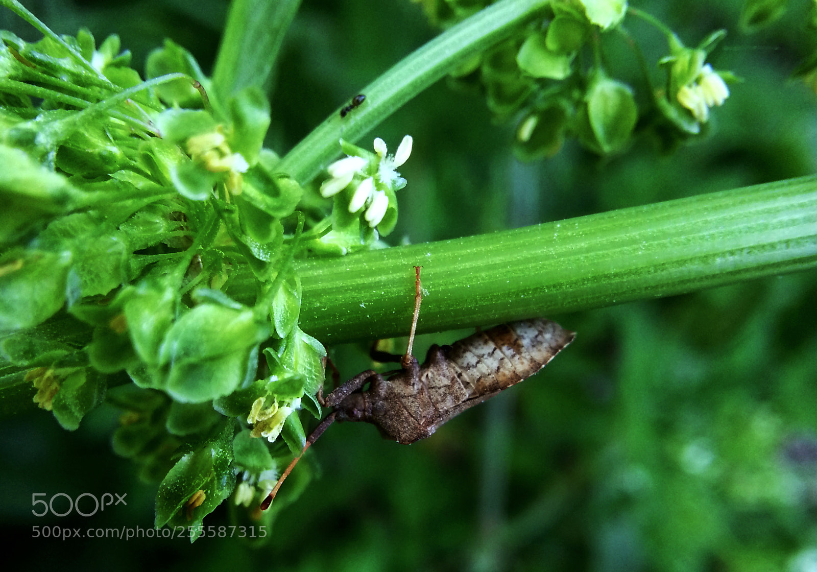 Samsung Galaxy Note2 sample photo. ^^^^^^^^^^ photography