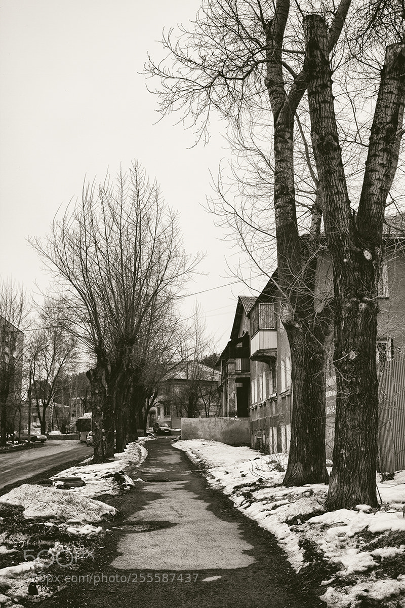 Canon EOS 7D sample photo. Untitled photography
