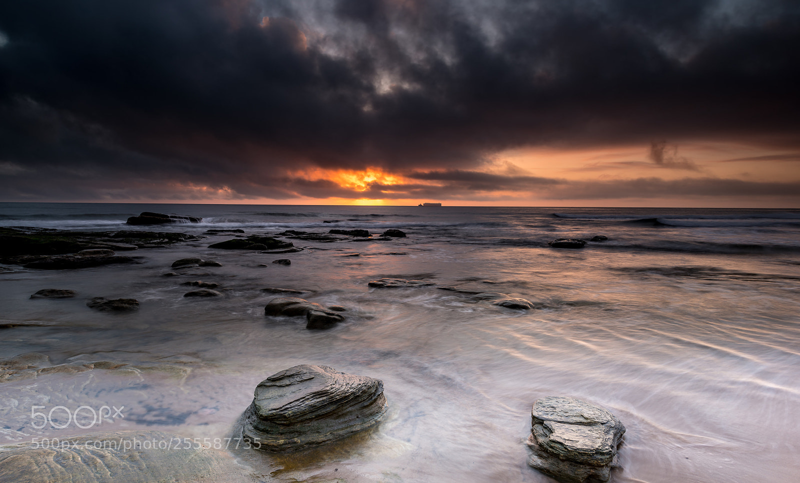 Nikon D850 sample photo. Tynemouth beach uk photography