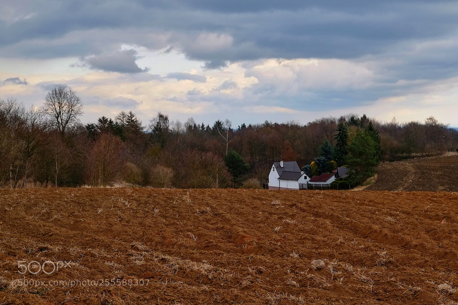 Fujifilm X-E1 sample photo. Under the hill photography