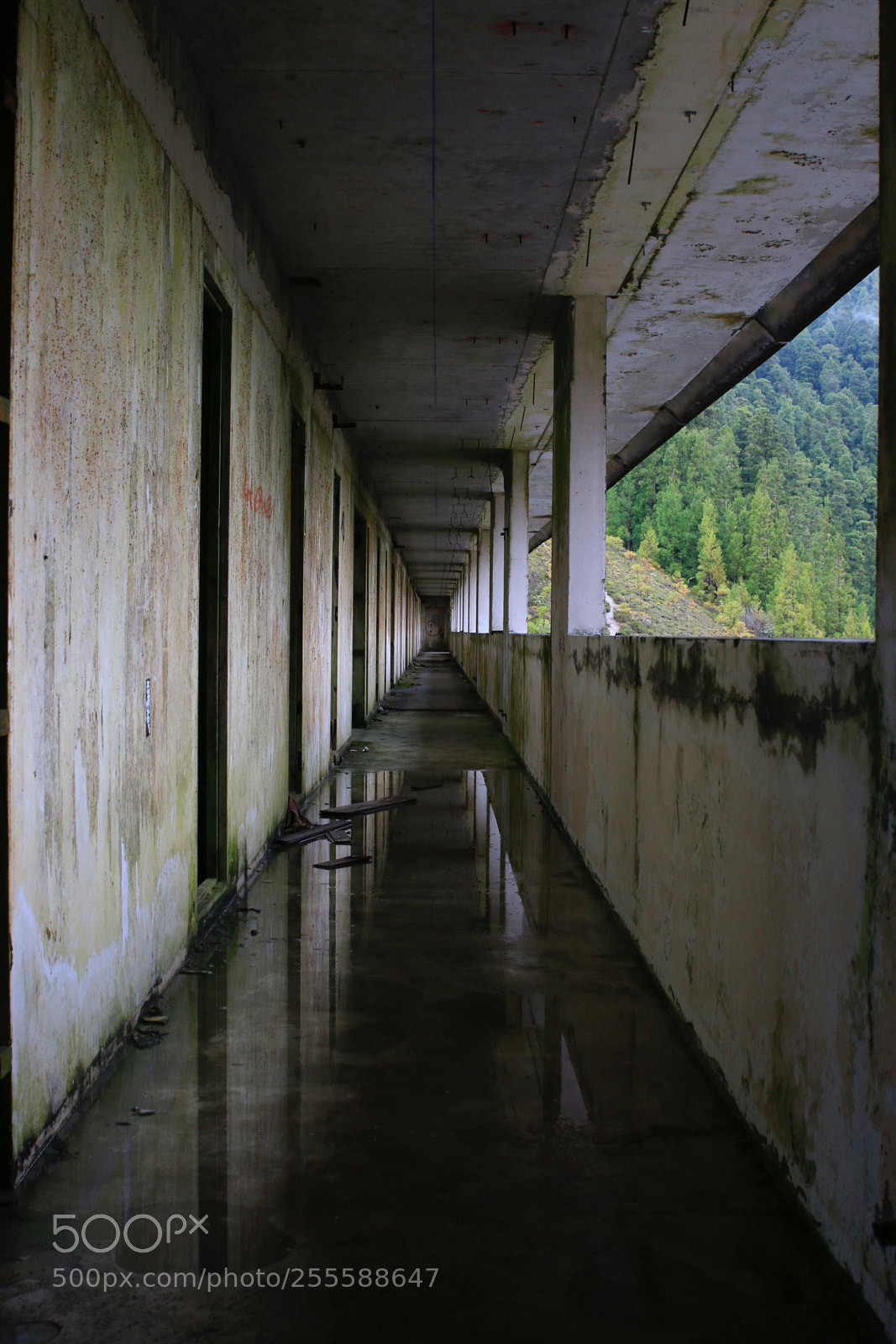 Canon EOS 70D sample photo. Hotel monte palace photography