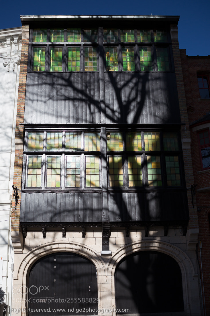 Canon EOS 6D sample photo. Shadow photography