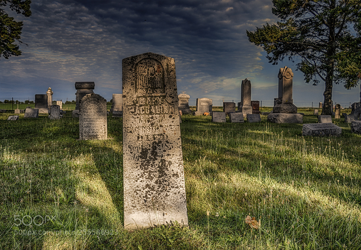 Nikon D600 sample photo. Old cemetery photography