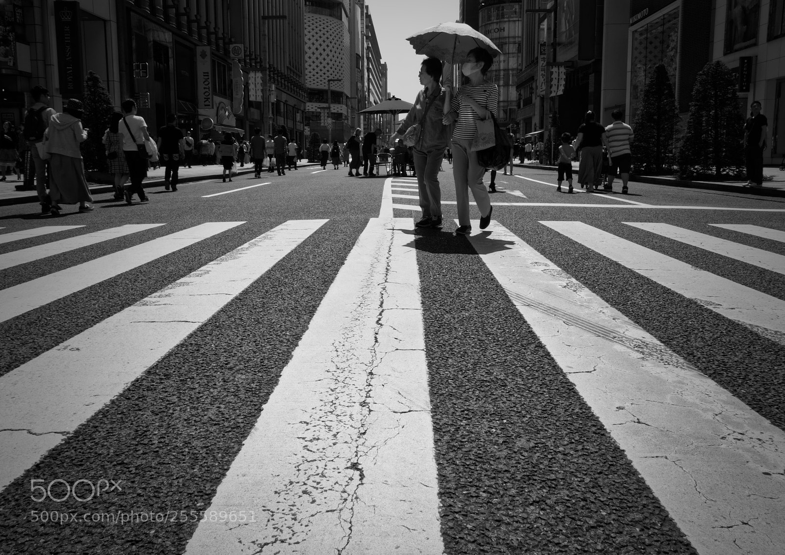 Nikon D7200 sample photo. Ginza photography
