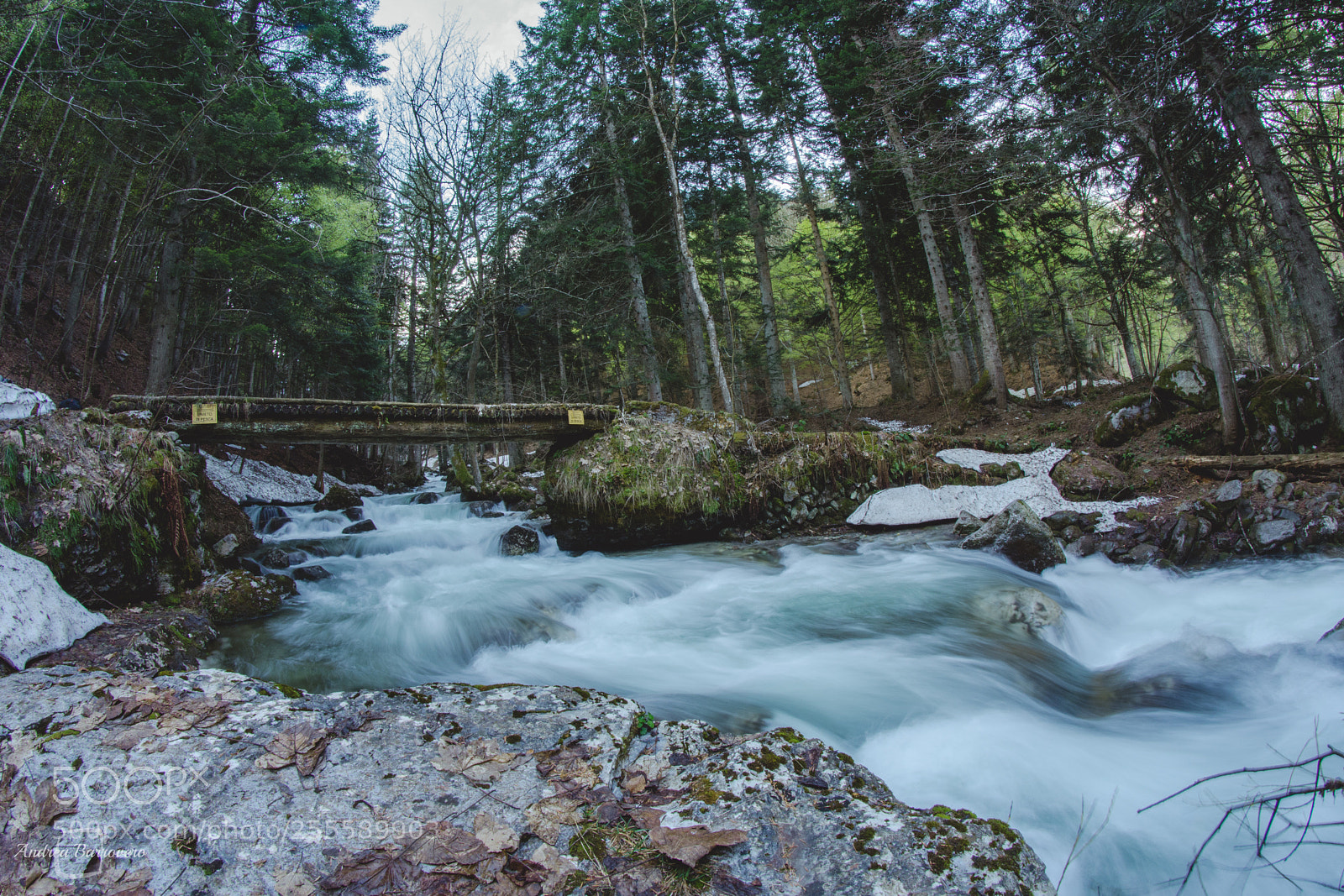 Nikon D7200 sample photo. Lost bridge in nature photography