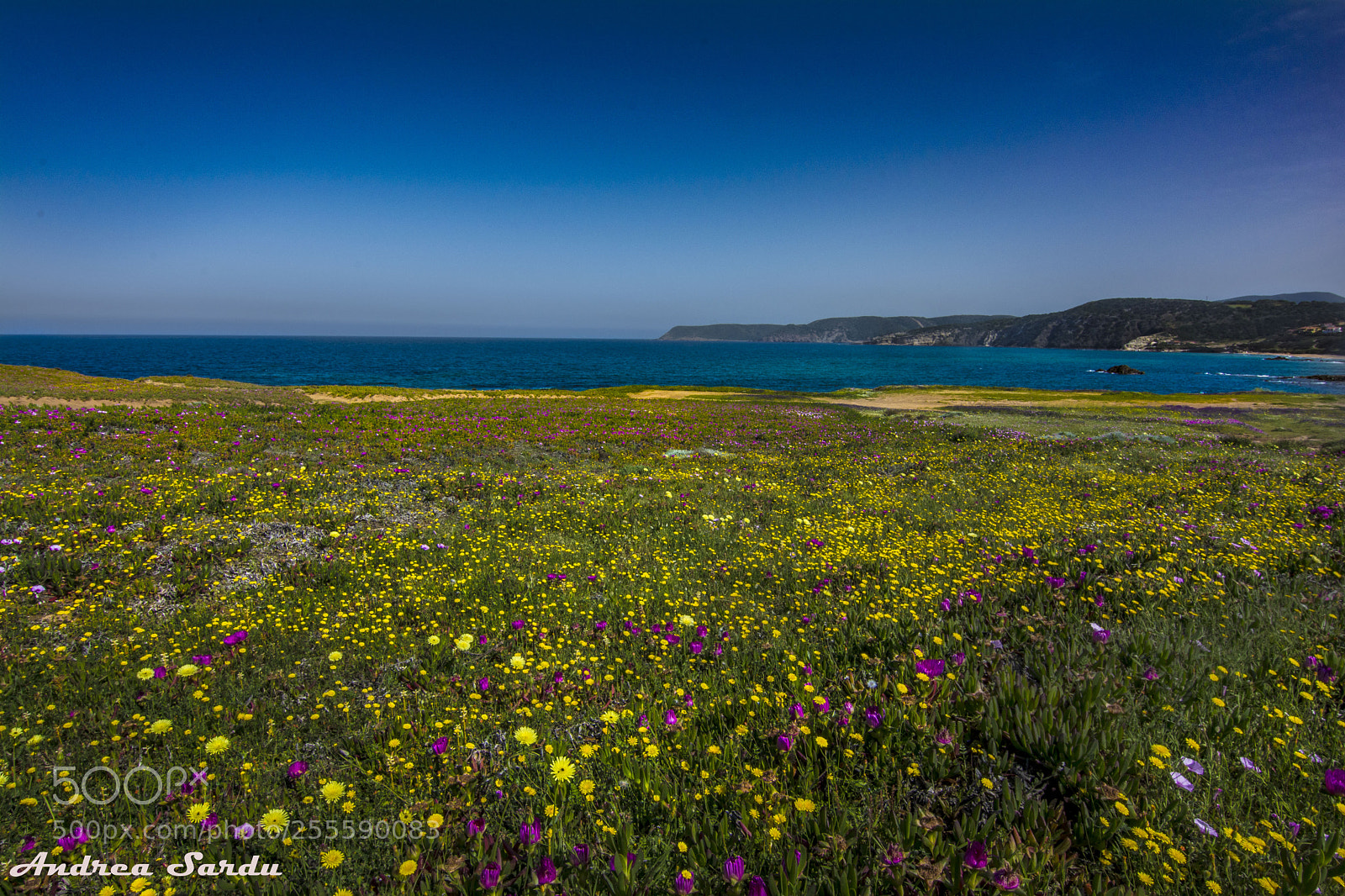 Nikon D7100 sample photo. Sardinia photography