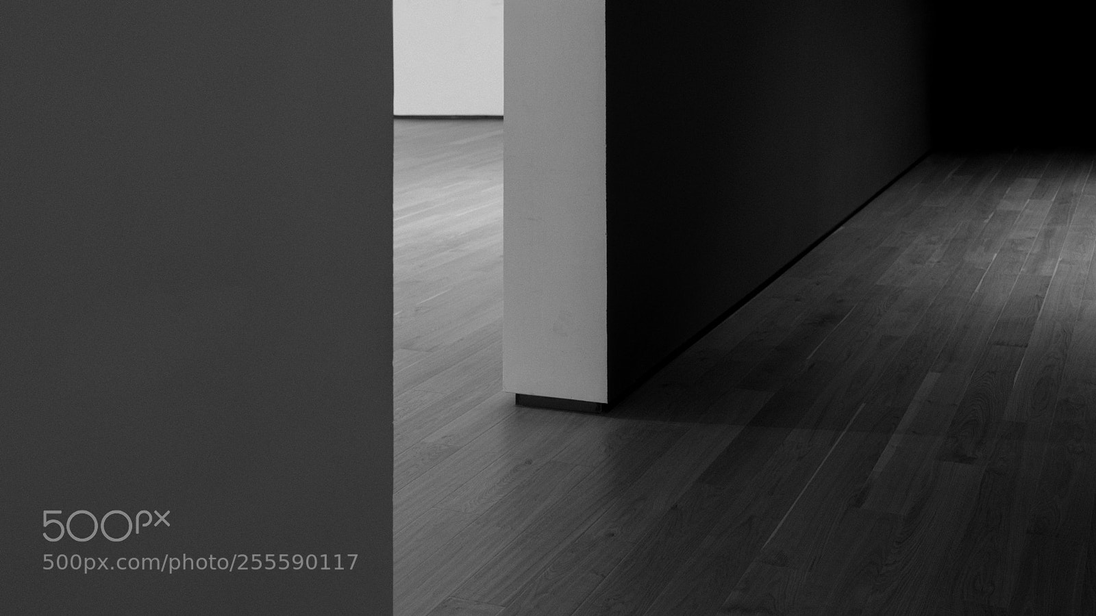 Sony a7R III sample photo. Untitled photography