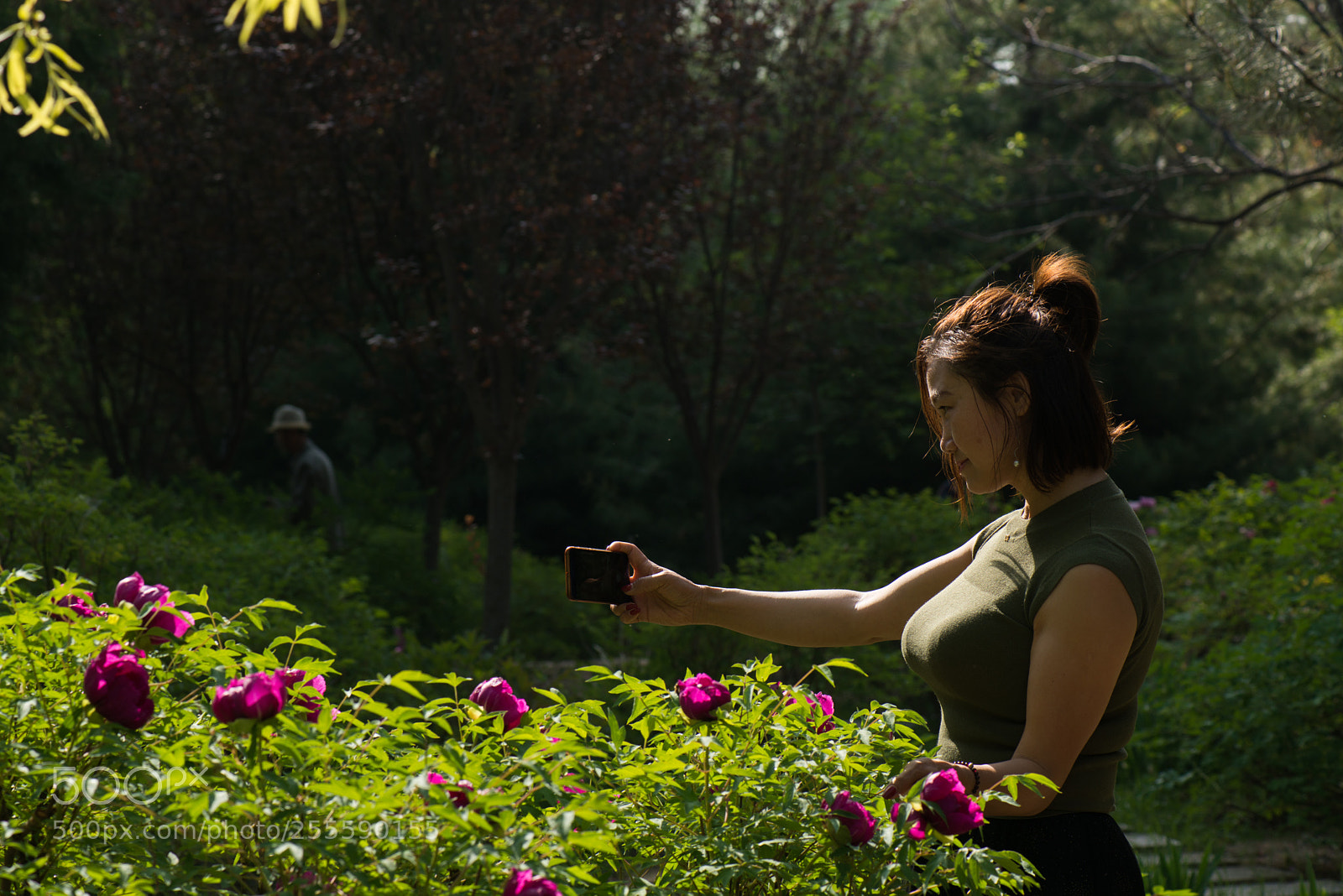 Nikon D800E sample photo. Shoot peony photography