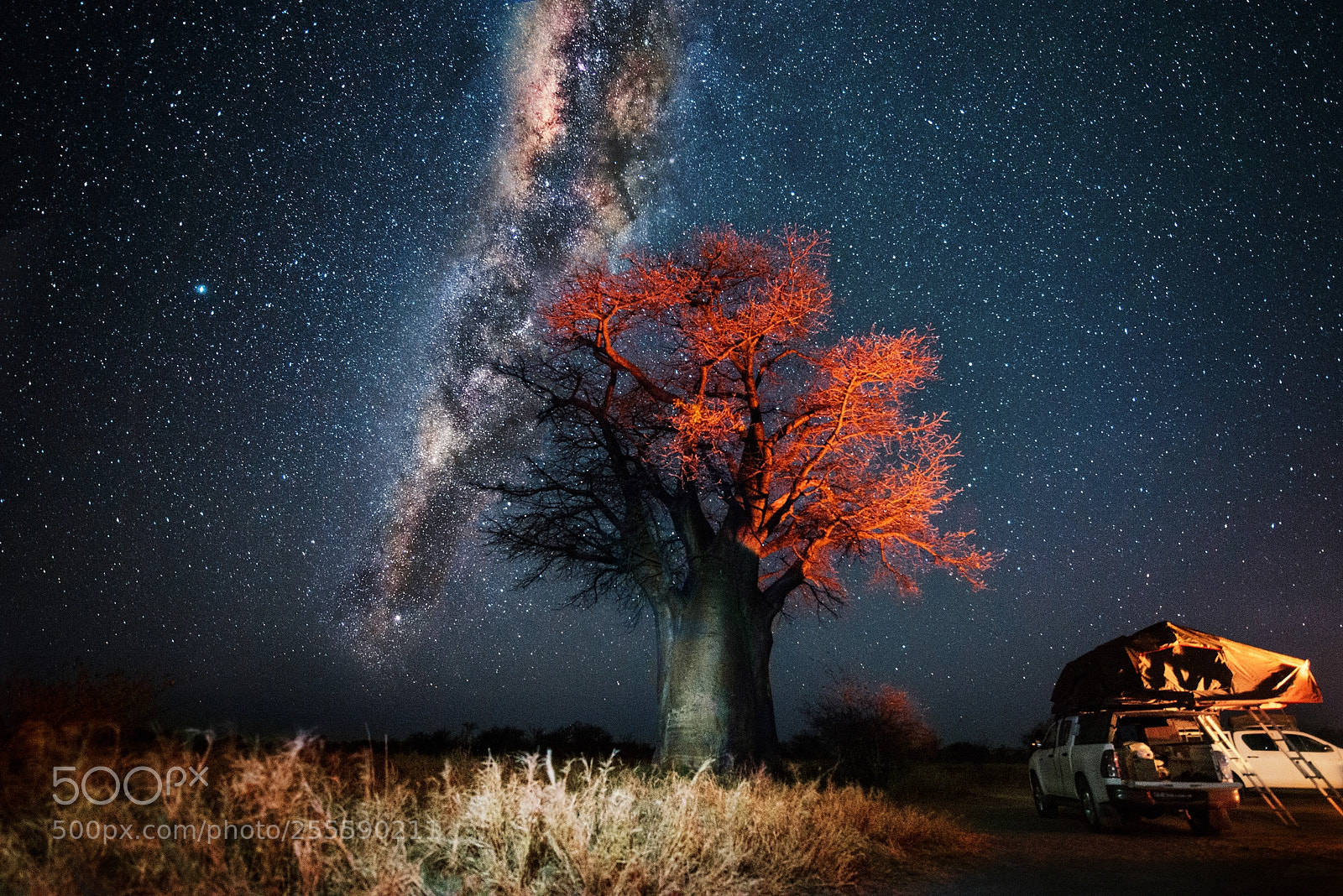 Nikon D800E sample photo. Nxai pan, botswana photography