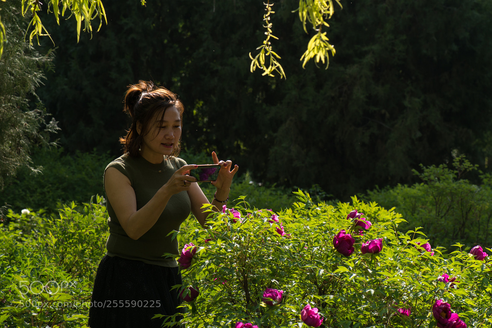 Nikon D800E sample photo. Shoot peony photography
