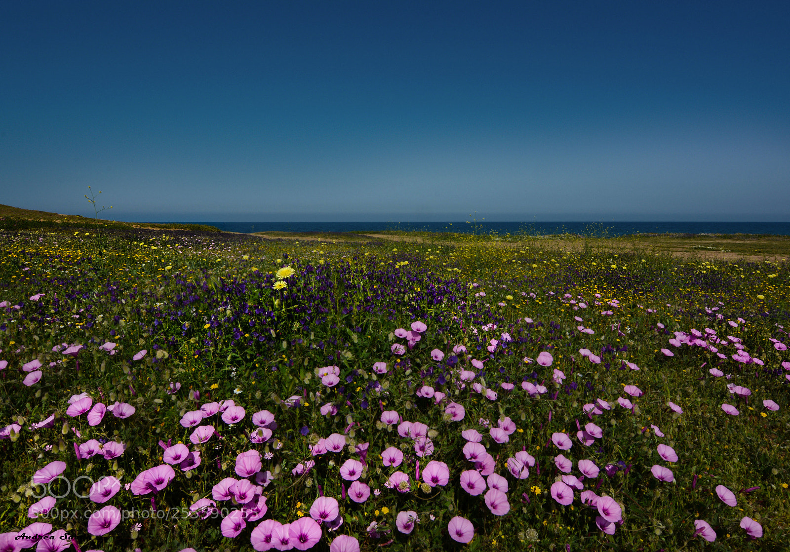 Nikon D7100 sample photo. Sardinia photography