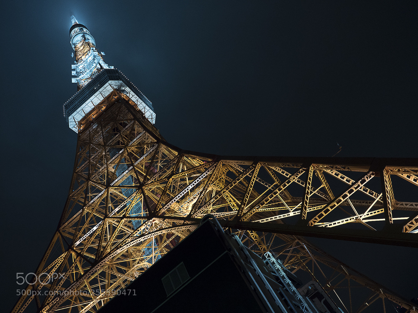 Olympus OM-D E-M5 II sample photo. Tokyo tower photography