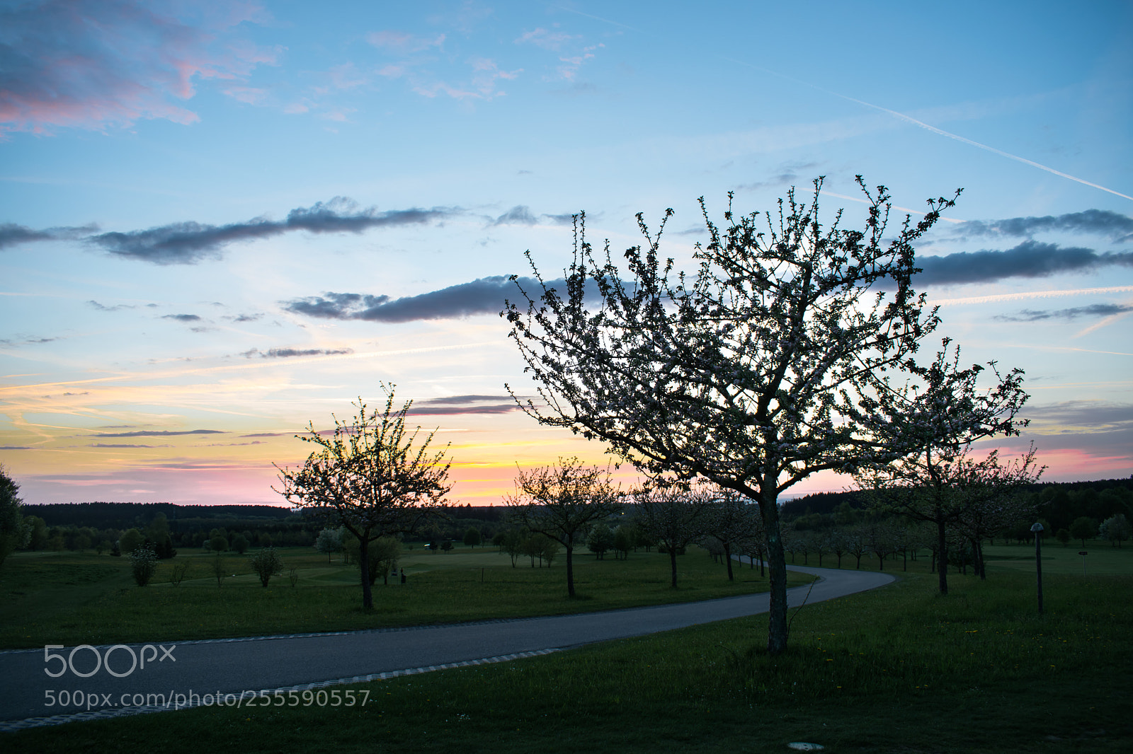Nikon D3300 sample photo. Sunset photography