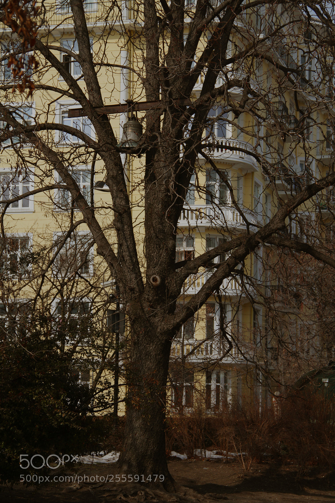 Canon EOS 7D sample photo. Sofia - street photography