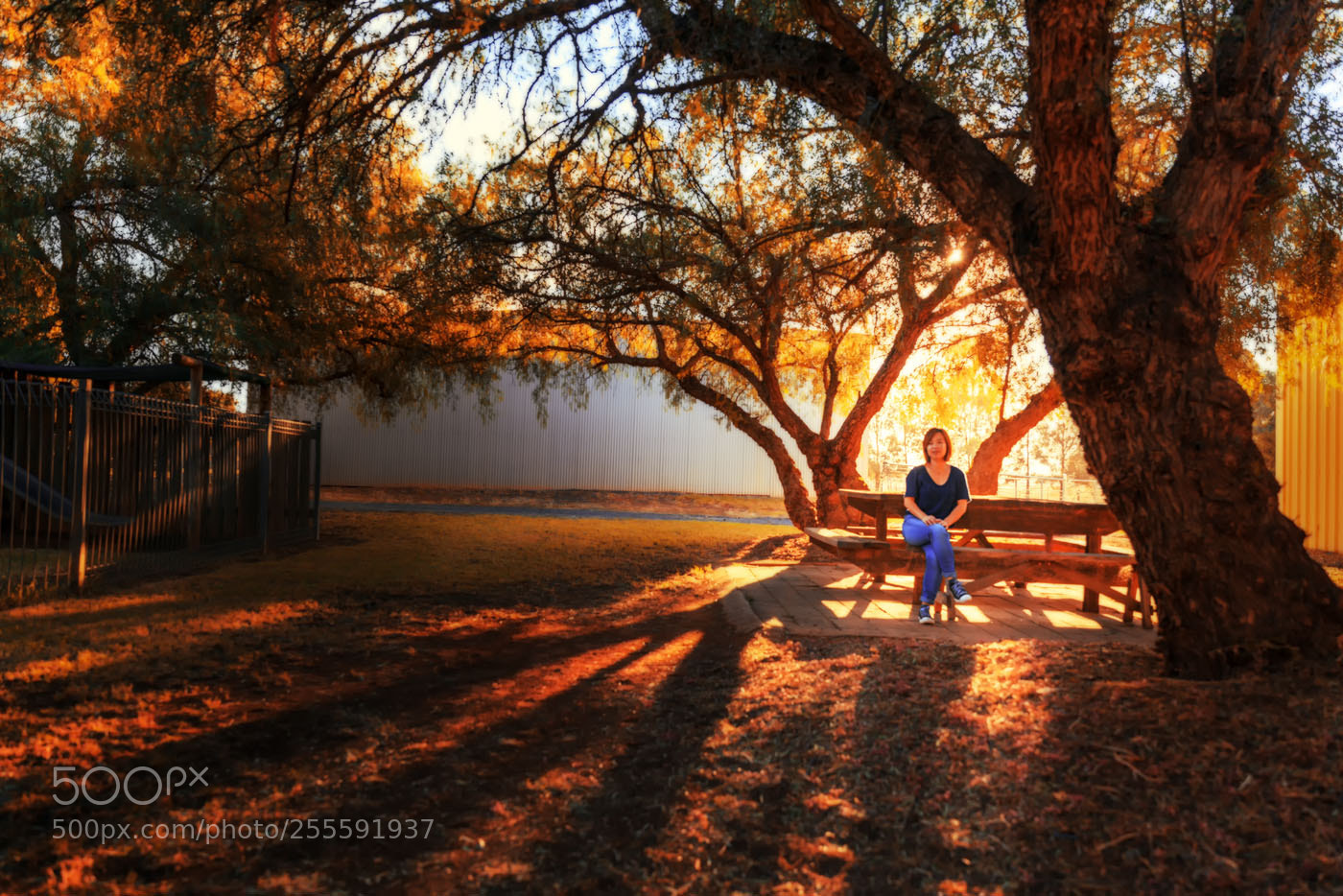Canon EOS 5D Mark II sample photo. The time of fall photography