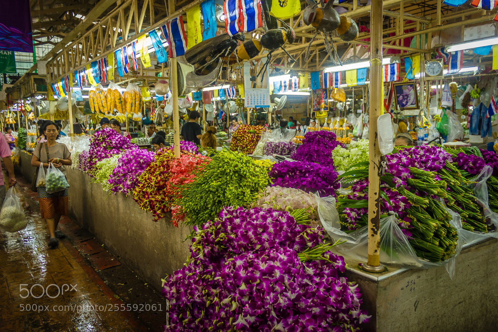 Canon EOS 550D (EOS Rebel T2i / EOS Kiss X4) sample photo. Bangkok flower market photography