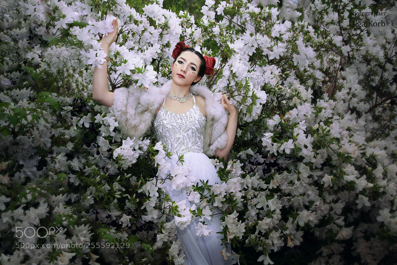 Canon EOS 5D sample photo. Spring photography