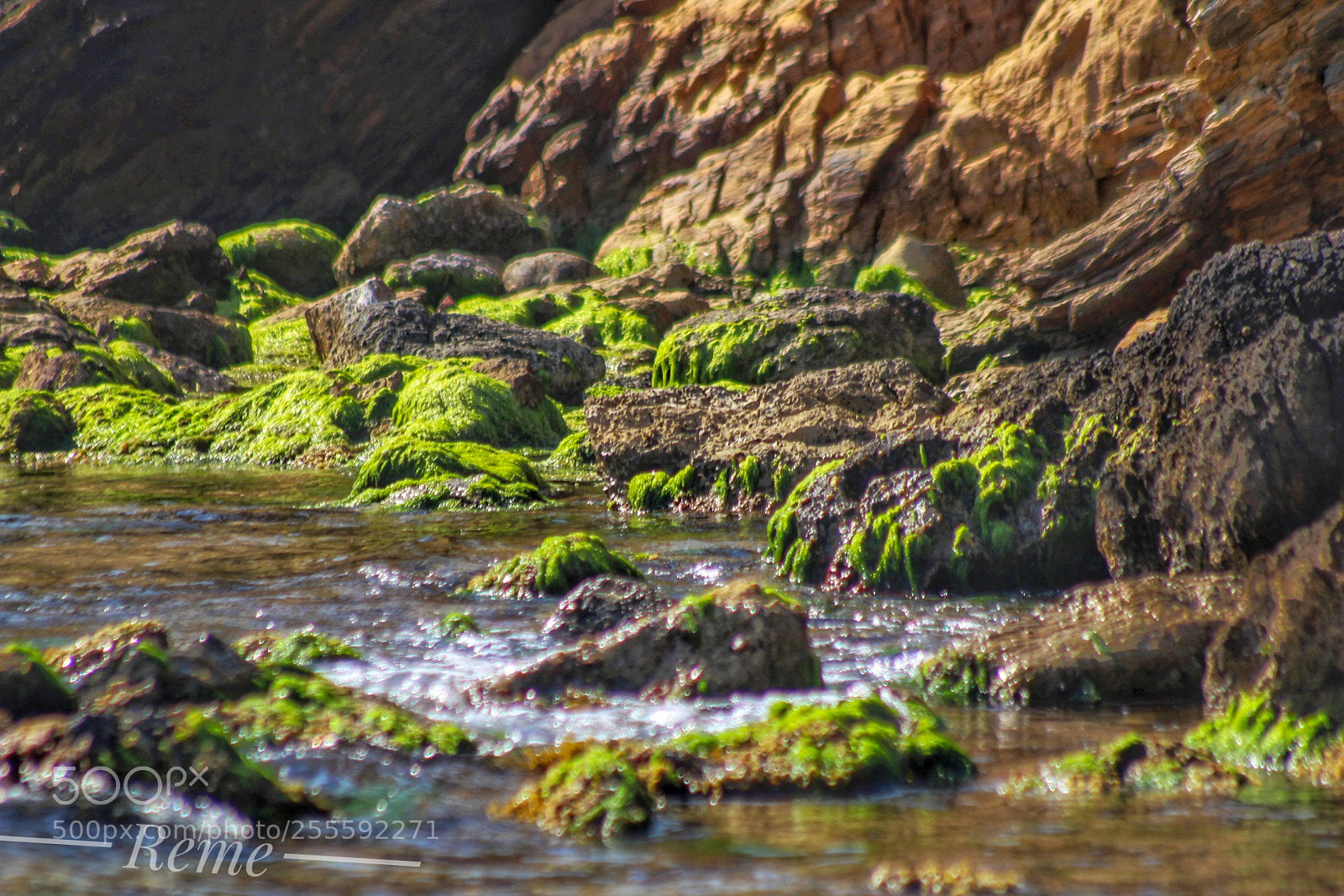 Canon EOS 1300D (EOS Rebel T6 / EOS Kiss X80) sample photo. Rocas marinas photography