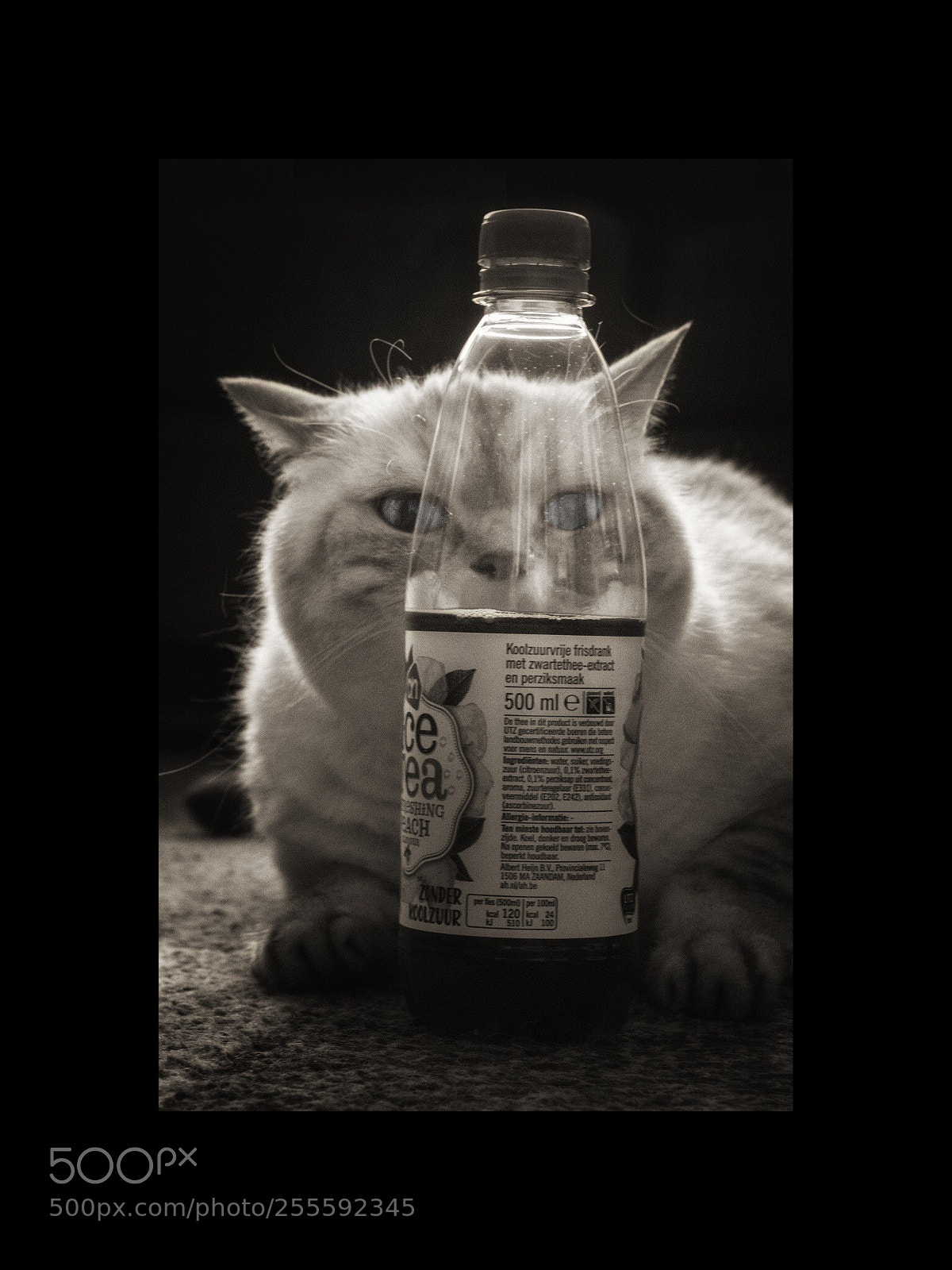 Canon EOS 700D (EOS Rebel T5i / EOS Kiss X7i) sample photo. I want tea photography