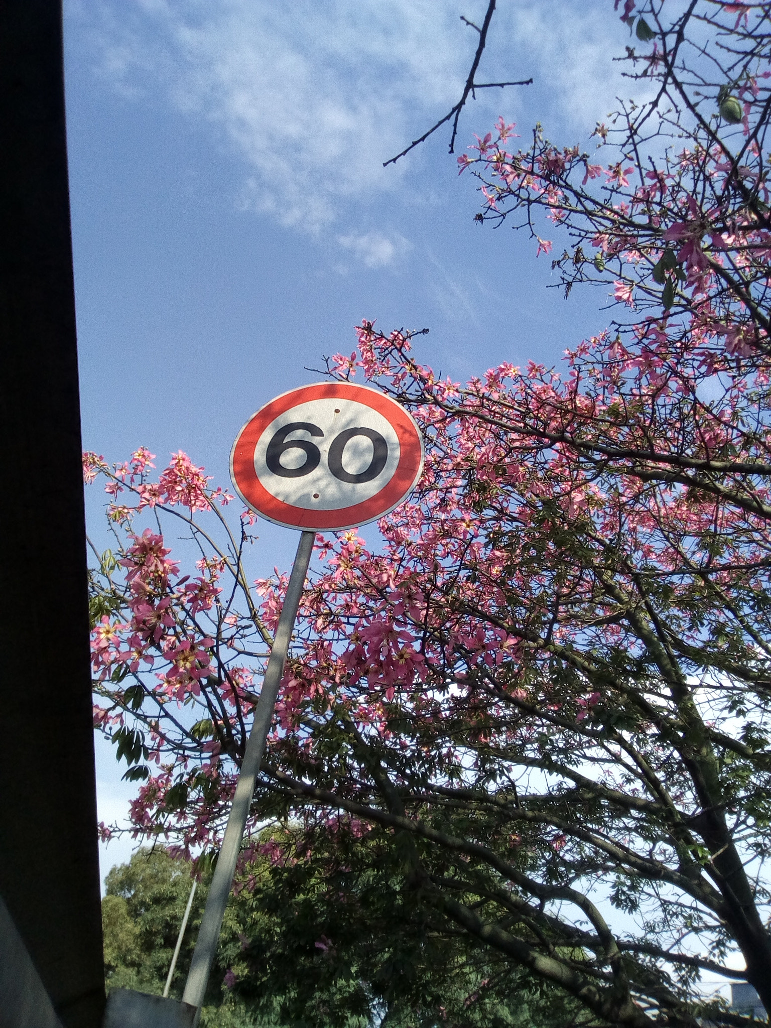 Motorola Moto C sample photo
