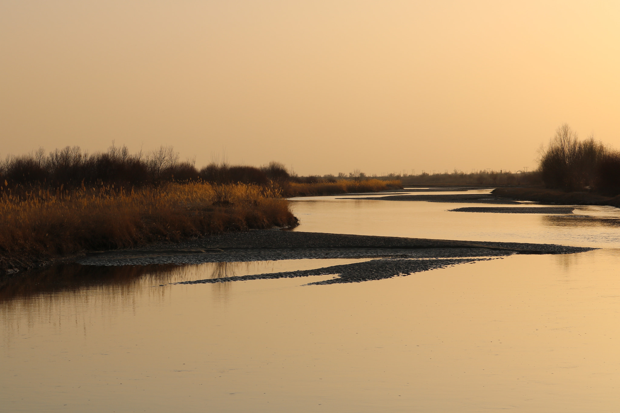 Canon EF-S 55-250mm F4-5.6 IS STM sample photo
