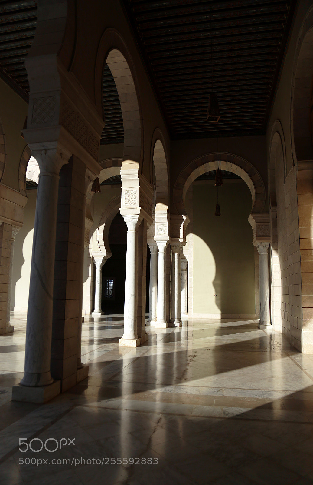 Canon EOS 6D sample photo. Between the shadow and photography