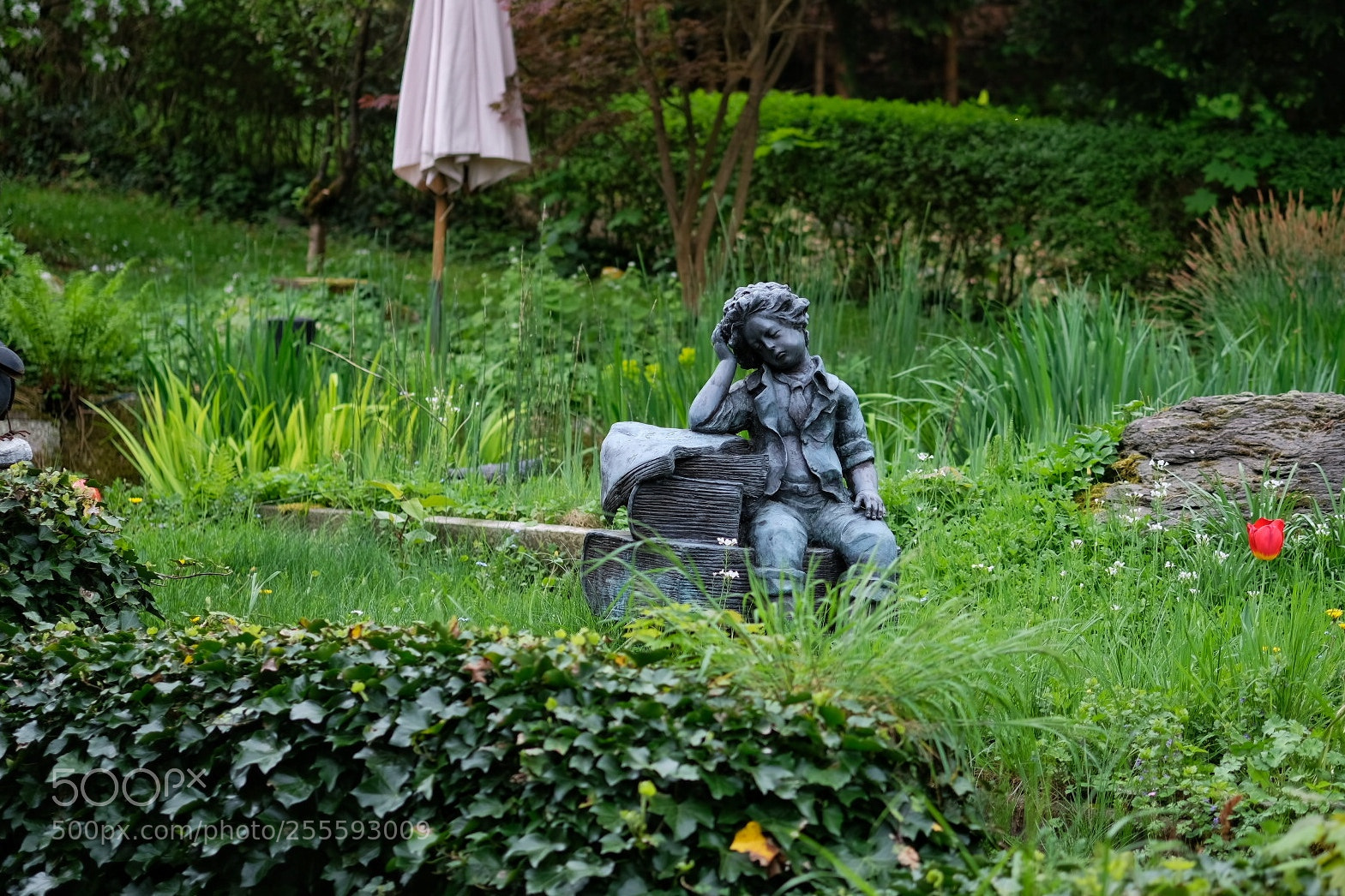Fujifilm X-E3 sample photo. Just 5 seconds photography