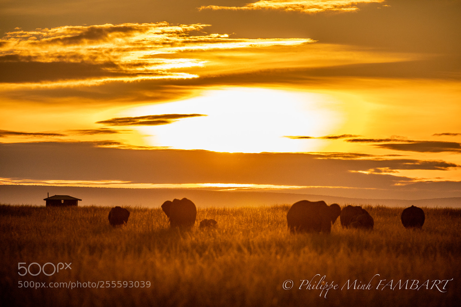 Canon EOS 5D Mark IV sample photo. Sunset in masai mara photography