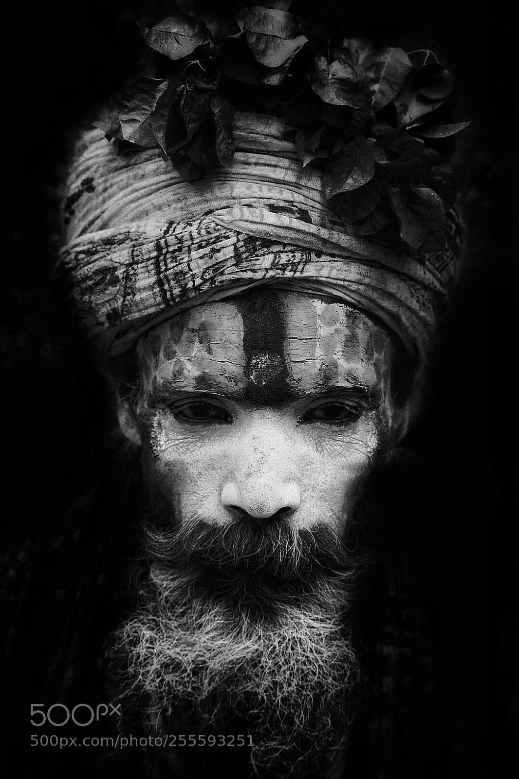 Nikon D5300 sample photo. A sage.. photography