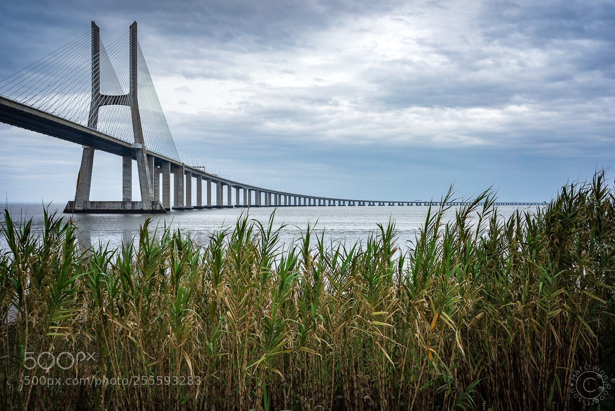 Sony a7R sample photo. Uber photography