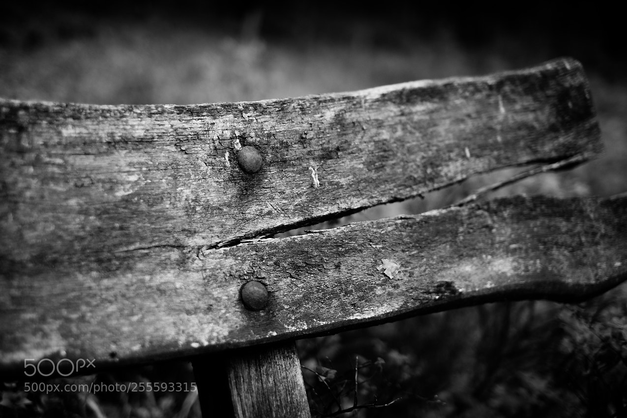 Fujifilm X-T20 sample photo. Moby dick photography